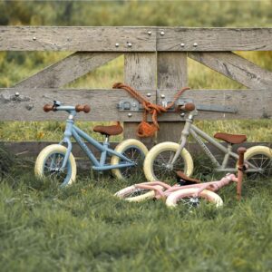 Bici de equilibrio oliva - Little Dutch