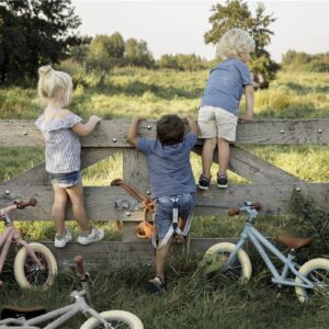 Bici de equilibrio oliva - Little Dutch