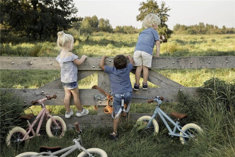 Bici de equilibrio oliva - Little Dutch