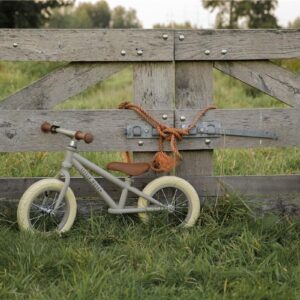 Bici de equilibrio oliva - Little Dutch