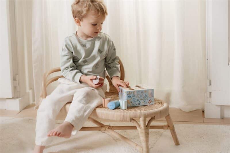 Encaja las Formas Forest Friends FSC – Little Dutch (Juego Educativo de Madera)