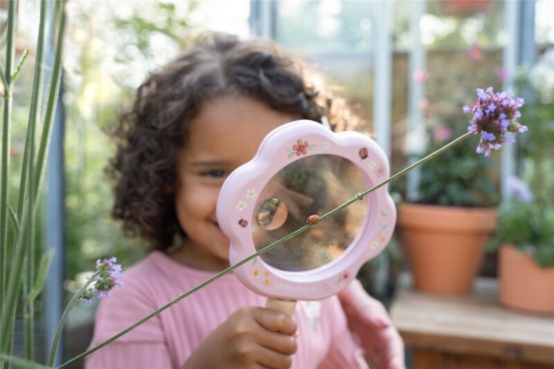 Lupa Fairy Garden FSC – Little Dutch