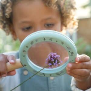 Lupa Forest Friends FSC – Little Dutch