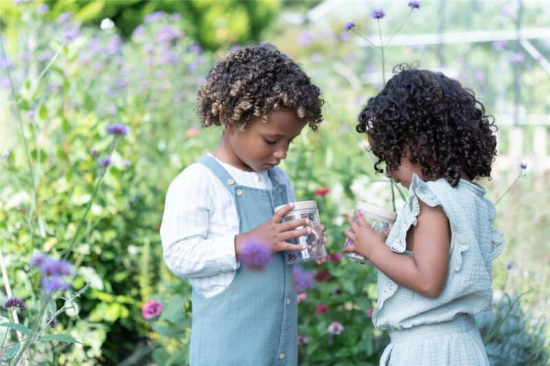 Tarro para Insectos Forest Friends FSC – Little Dutch