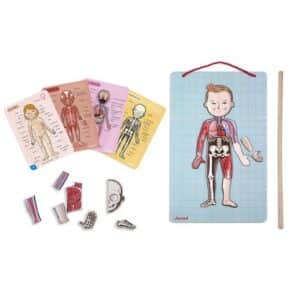 Bodymagnet en 12 Idiomas – Juego educativo magnético – Janod – Descubre el cuerpo humano desde 7 años