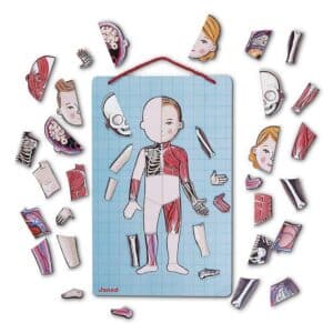 Bodymagnet en 12 Idiomas – Juego educativo magnético – Janod – Descubre el cuerpo humano desde 7 años