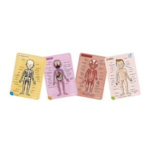 Bodymagnet en 12 Idiomas – Juego educativo magnético – Janod – Descubre el cuerpo humano desde 7 años